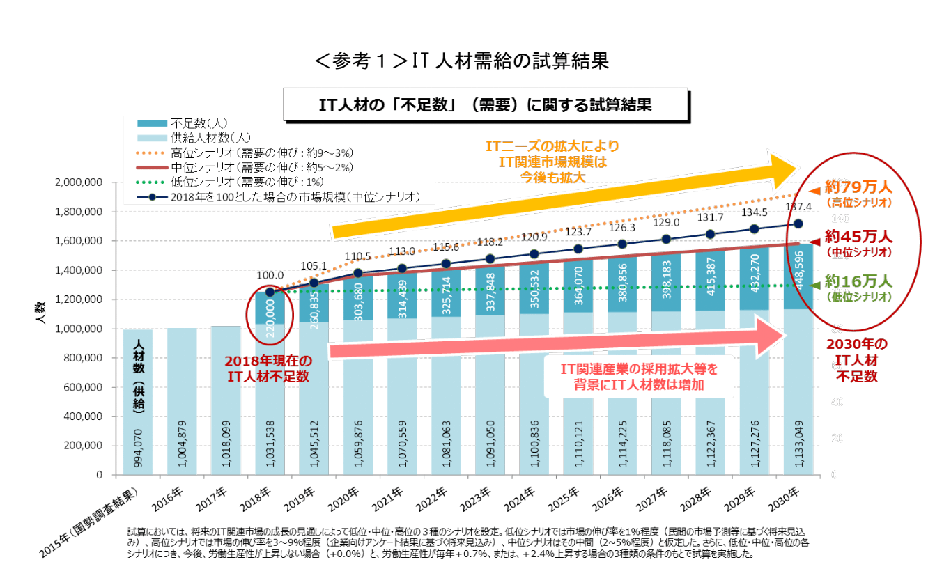 Domestic IT human resources estimate